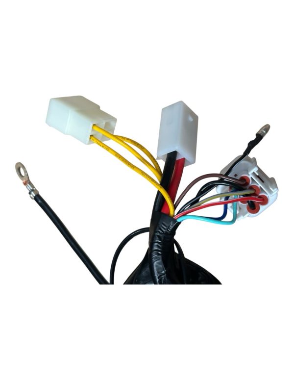 Wire Harness – Fits TANK 200cc EFI (VIN HT5)