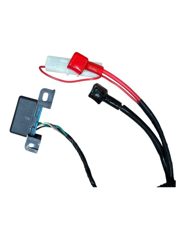 Wire Harness – Fits TANK 200cc EFI (VIN HT5)