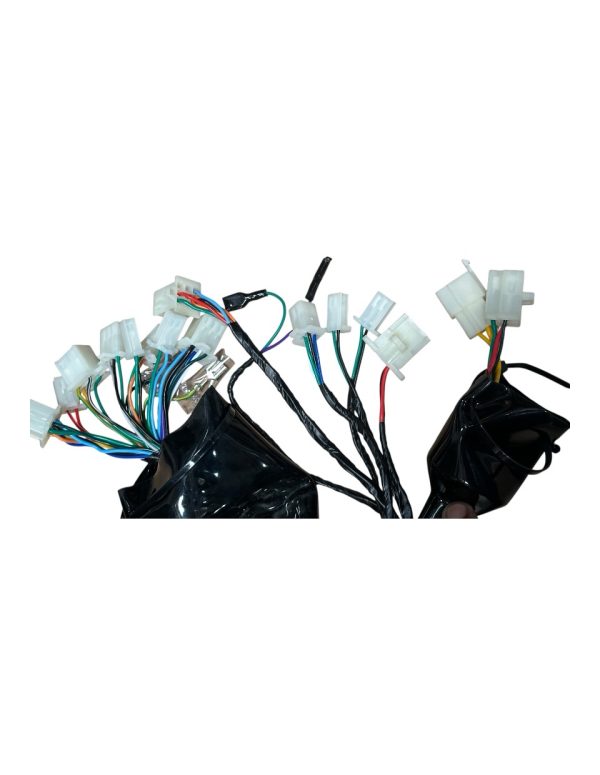 Wire Harness – Fits TANK 200cc EFI (VIN HT5)