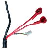 Wire Harness – Fits TANK 200cc EFI (VIN HT5)