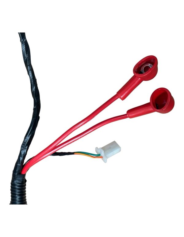 Wire Harness – Fits TANK 200cc EFI (VIN HT5)