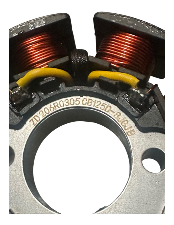 Apollo 250cc Stator – 8 Coil 4 Wire Replacement  CBB250J-01