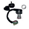 Ignition Switch Assembly for (LZ150-8)