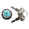 Ignition Switch with Keys – Fits GK-01-150 & GK-06-250