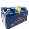 Battery – 12V – Fits Tank 200 EFI