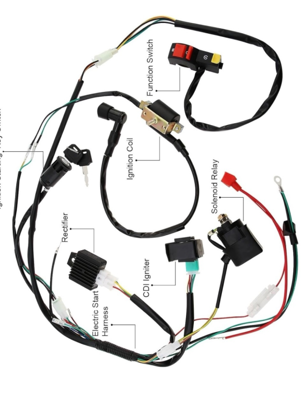 Complete Electrical Wiring Kit – Fits 110cc–125cc Dirt Bike