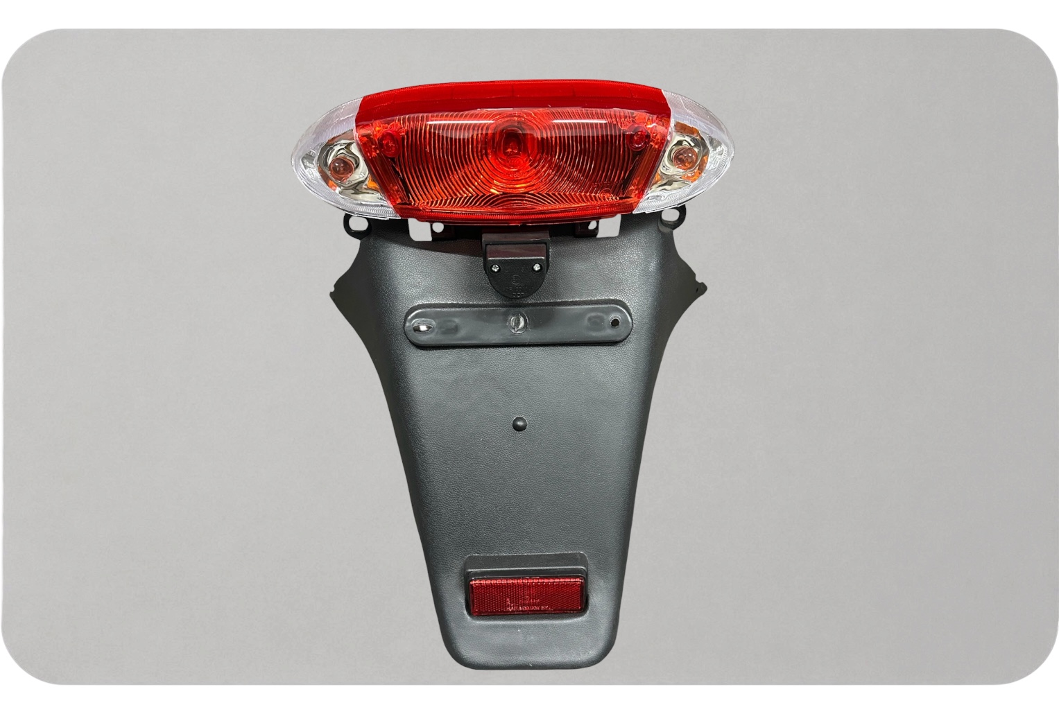 LED Tail Light Assembly for TANK 200 EFI -Genuine Part